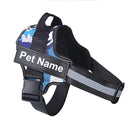 Collar de Perro Ajustable Con Nombre Personalizado