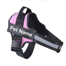 Collar de Perro Ajustable Con Nombre Personalizado