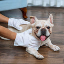 Guantes para Mascotas - Guantes de Baño Secos